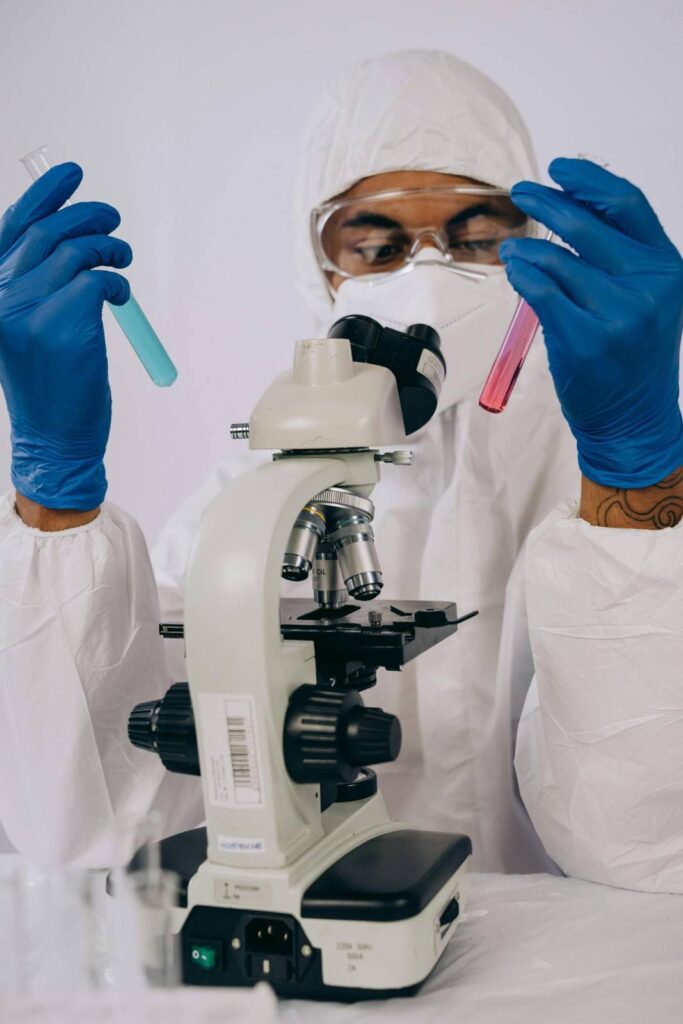 "Diagram showing the progression from analytical chemistry through preclinical studies to human clinical trials with cinnamon."