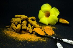 Turmeric in Modern Nutrition: Scientific Insights and Culinary Use