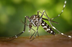 Malaria Awareness Month 2025: Symptoms, Prevention