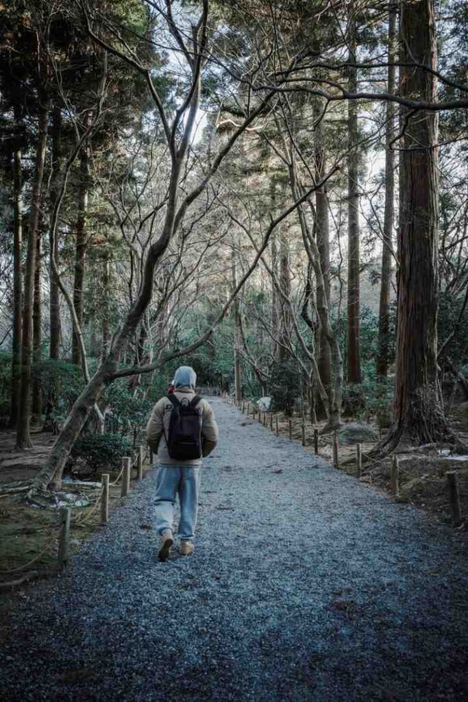 A person walking alone on a sunlit forest trail, surrounded by trees, representing the connection between walking and mental benefits of walking