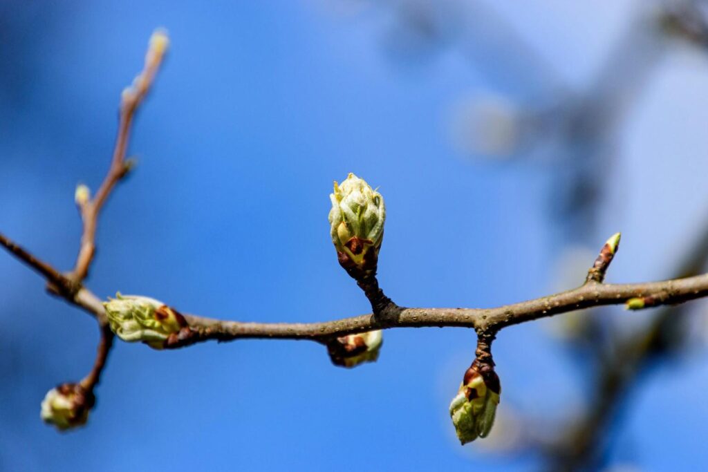  Illustration of human sleep cycles across a typical night, highlighting the natural wakeful periods around 90-minute intervals and the 3 AM transition point Why do you wake up at 3 am
